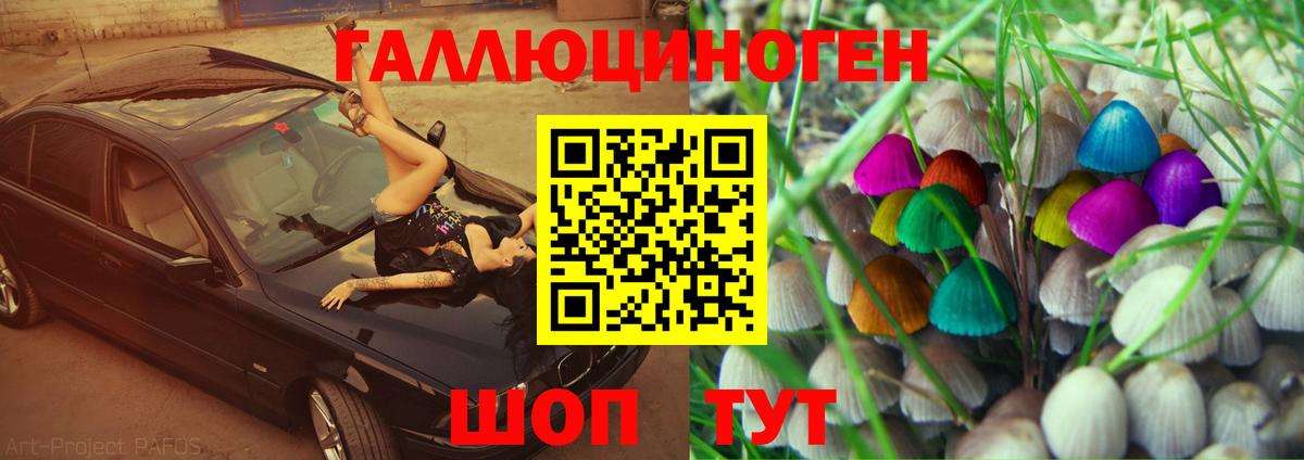 Псилоцибиновые грибы Cubensis Мариинск